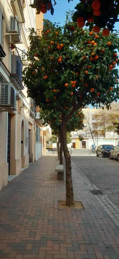 Golondrina Apartment Cordoba Exterior photo